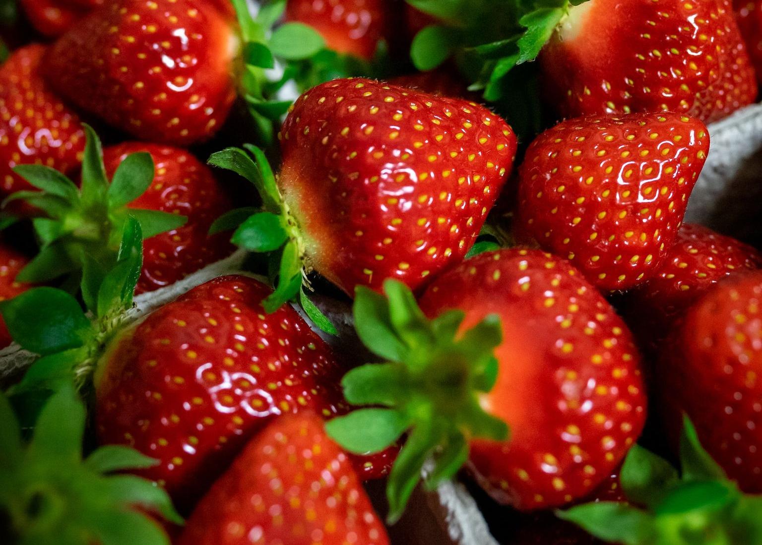 a close up of a bunch of strawberries